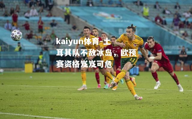 kaiyun体育-土耳其队不敌冰岛，欧预赛资格岌岌可危  第2张
